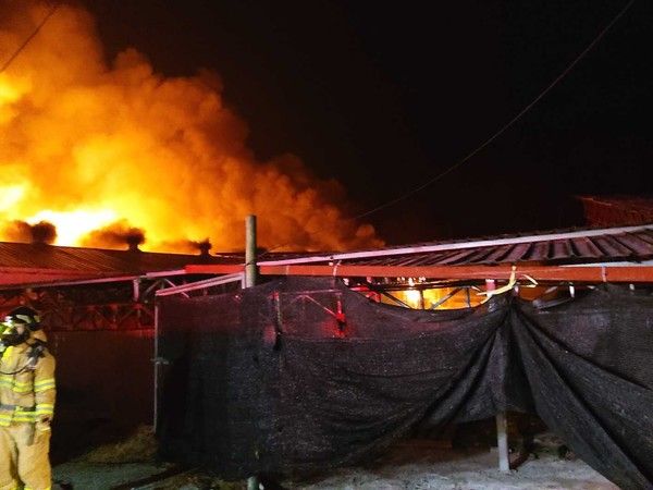 ▲ 17일 오전 4시41분 강원도 원주 문막읍 궁촌리의 한 양계장 화재가 발생해 화염이 치솟고 있다. 12시간 만인 오후 4시47분에 진화됐다. 산란계 10만 마리가 폐사하는 큰 피해가 났다. 사진=뉴시스