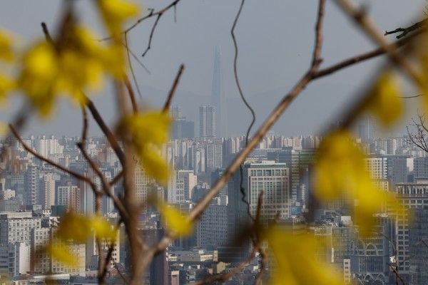 ▲ 서울 종로구 인왕산에 피어난 개나리 뒤로 도심이 뿌옇게 보이고 있다. 사진=뉴시스