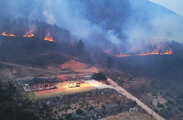 ▲ 경남 산청군에서 발생한 대형 산불이 4일째로 접어든 24일 오전 산청군 단성면 산기슭에 산불이 이어지고 있다. 사진=뉴시스