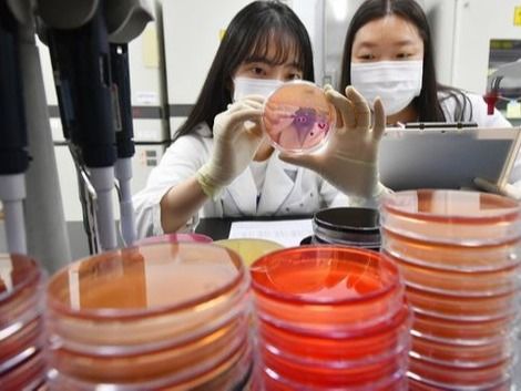 ▲ 경기 수원시 권선구 경기도보건환경연구원에서 연구원들이 식중독균 배양분리작업을 하고 있다. (사진=뉴시스)