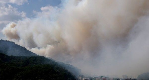 ▲ 28일 오후 2시 1분쯤 대구 북구 노곡동 함지산에서 불이 나 연기가 바람을 타고 도심으로 번지고 있다. 사진=뉴시스