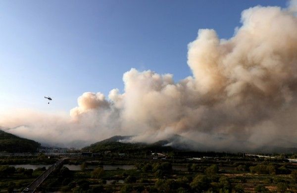 ▲ 28일 오후 2시 1분쯤 대구 북구 노곡동 함지산에서 불이 나 소방헬기가 진화작업을 하고 있다. 사진=뉴시스