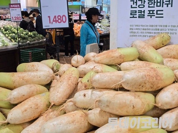 ▲ 경기도 내 한 대형마트에서 소비자가 채소를 살펴보고 있다. 사진=투데이코리아