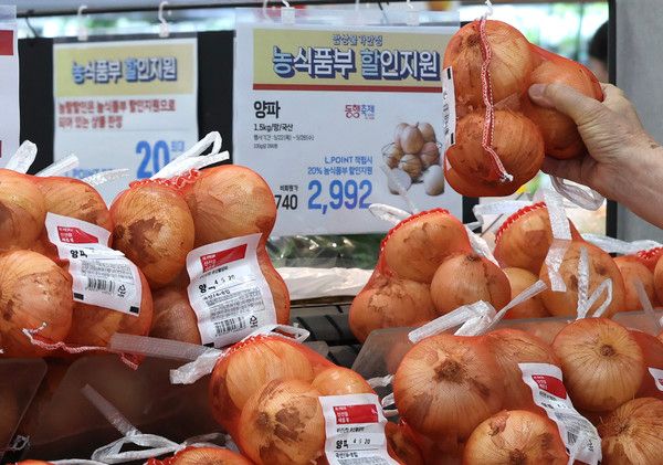 ▲ 서울시내 한 대형마트에 판매되고 있는 양파 모습. 사진=뉴시스