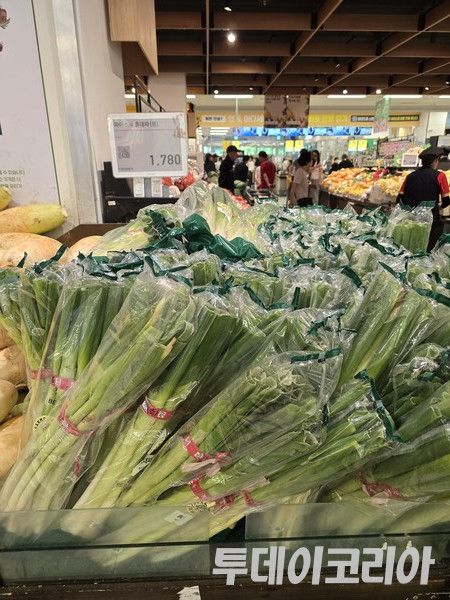 ▲ 지난 3일 경기도 내 한 대형마트에서 판매되고 있는 대파. 사진=투데이코리아