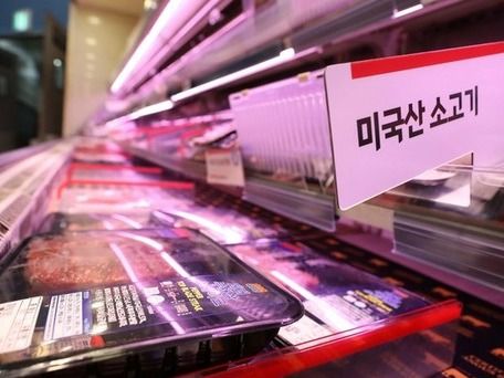 ▲ 한국이 2021년에 이어 2년 연속 미국산 소고기 최대 수입국으로 발표됐다. 미국 농무부와 육류수출협회에 따르면 지난해 11월까지 미국산 소고기의 한국 수출은 24억5600만달러로 중국과 일본보다 많은 수치이다. 10일 서울 시내의 한 대형마트에서 미국산 소고기가 판매되고 있다. 사진=뉴시스