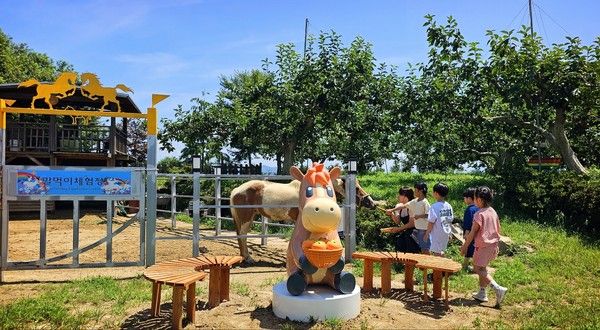 ▲ 경남 창원시 빗돌배기 마을에 조성된 조랑말 ‘다롱이’ 교감촌. 사진=한국마사회