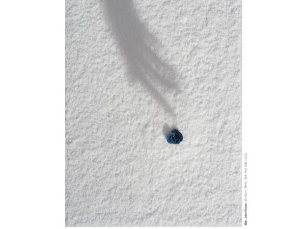 ▲ 김도경학 작가 기획초대전 포스터. 사진=세종대학교