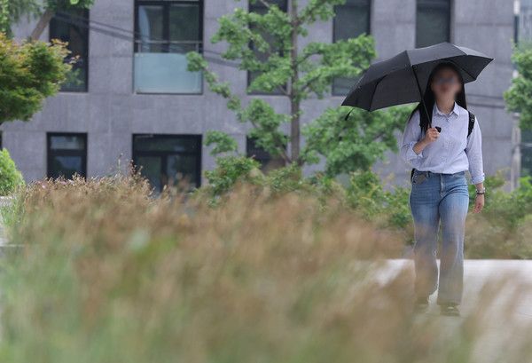 ▲ 서울 서초구 서울중앙지방검찰청에서 우산을 쓴 시민들이 발걸음을 옮기고 있다. 사진=뉴시스