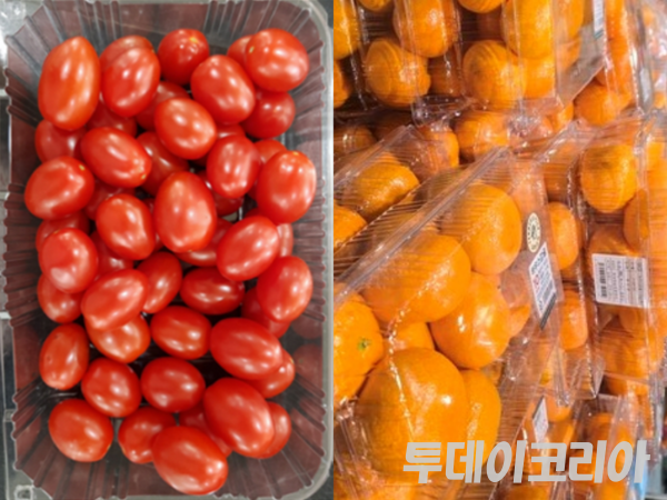 ▲ 토마토와 감귤. 사진=투데이코리아&nbsp;