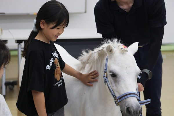 ▲ 오류남초 2학년 아이들이 미니어처 포니를 만져보고 있다. 사진=한국마사회