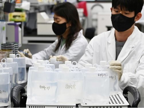 ▲ 최근 전북 서해안에서 올해 첫 비브리오패혈증균이 검출되자 24일 경기 수원시 경기도보건환경연구원 수인성질환팀 연구원들이 채수한 바닷물을 검사하고 있다. 비브리오패혈증은 해수 온도가 상승하는 여름철에 집중적으로 발생하는 감염병으로 서해안 지역 해수와 갯벌, 어패류에서 주로 검출된다. 사진=뉴시스