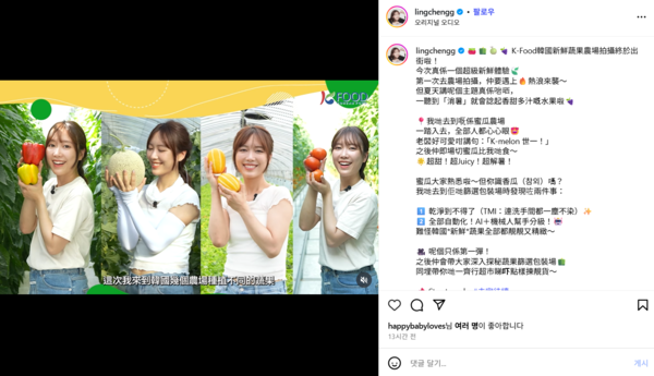 ▲ 홍콩 인플루언서 정금령이 국산 토마토 수확 과정을 체험하고 있다. 사진=한국농수산식품유통공사