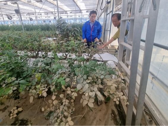 ▲ 김춘진 한국농수산식품유통공사(aT) 사장이 최근 집중호우 피해 지역을 연이어 방문해, 복구 및 지원책 마련에 나섰다. 사진=한국농수산식품유통공사