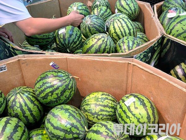 ▲ 서울 시내 한 마트에 수박이 진열되어 있다. 사진=투데이코리아