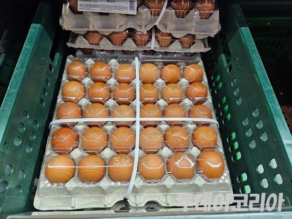 ▲ 서울의 한 마트에서 달걀이 매대에 진열돼 있다. 사진=이기봉 기자