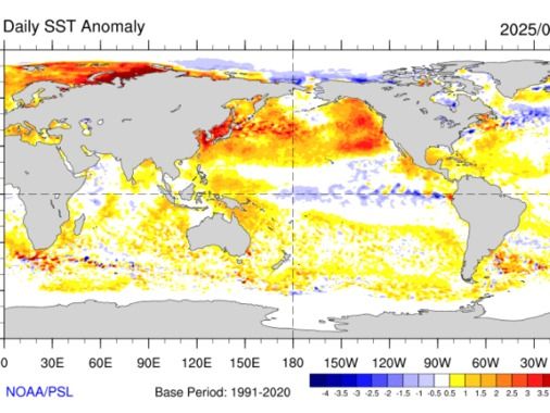 ▲ 2025년 9월 13일 기준 전지구 해수면 온도 편차. 사진=NOAA/PSL