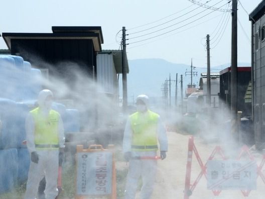 ▲ 구제역이 발생한 11일 오전 충북 청주시 청원구 북이면 한 한우농장에서 방역당국 관계자들이 외부인 출입을 통제하고 있다. 사진=뉴시스