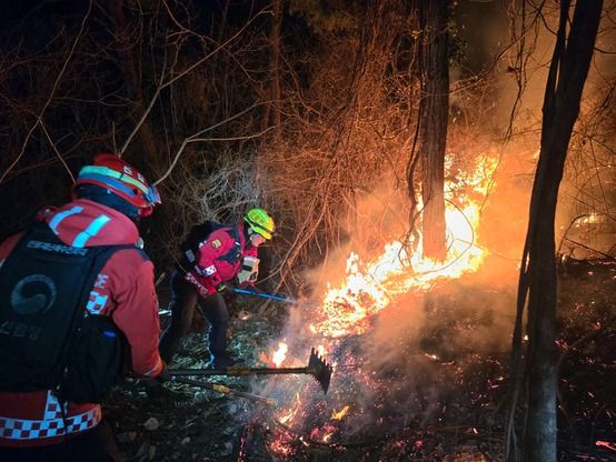 ▲ 21일 부산 기장군 산불 현장에서 산림청 산불특수진화대가 밤샘 진화작업을 펼치고 있다. 사진=뉴시스
