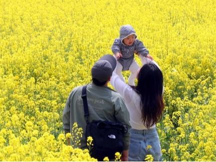 ▲ 포근한 날씨를 보인 12일 부산 강서구 대저생태공원 유채꽃밭을 찾은 한 가족이 봄 나들이를 즐기고 있다. 2024.04.12. 사진=뉴시스