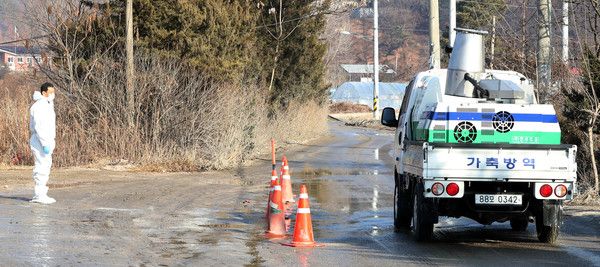 ▲ 경기도 포천시 영북면 조류인플루엔자(AI) 바이러스 검출 산란계 농가로 가축 방역 차량이 들어가고 있다. 사진=뉴시스