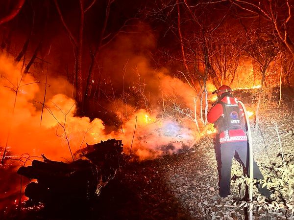 ▲ 산림청 특수진화대가 23일 오후 경남 밀양시 삼랑진읍 검세리 한 야산에서 발생한 산불 진화 작업을 하고 있다. 사진=산림청