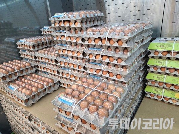 ▲&nbsp;서울 송파구 인근의 한 대형마트에 국내산 신선란이 진열되어 있다. 사진=투데이코리아