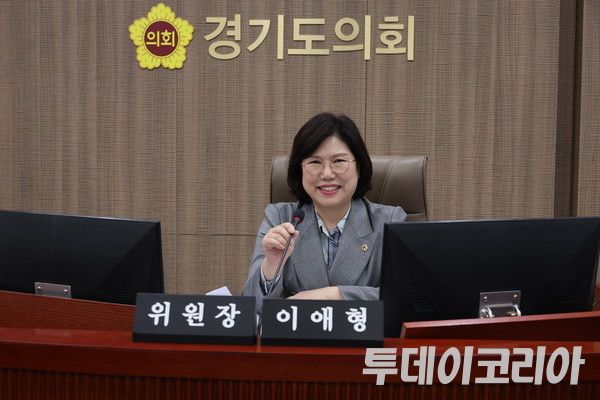 ▲ 이애형 경기도의회 교육행정위원장이 최근 경기 수원시 도의회에서 투데이코리아와 인터뷰를 진행하고 있다. 사진=이기봉 기자