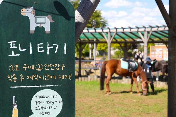 ▲ 지난해 진행된 ‘포니체험’ 프로그램 현장 전경. 사진=한국마사회
