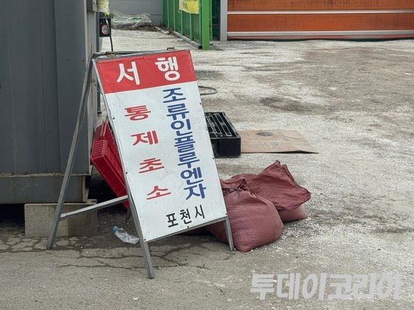 ▲ 고병원성 조류인플루엔자(AI) 발생 관련 자료 사진. 사진=투데이코리아