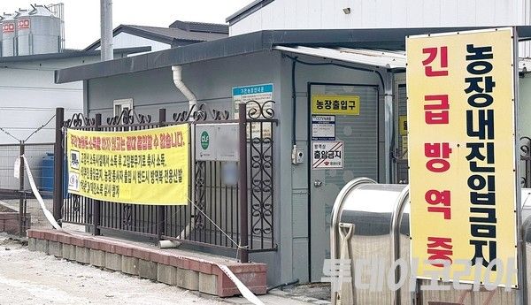 ▲ 고병원성 조류인플루엔자(AI) 발생 관련 자료 사진. 사진=투데이코리아