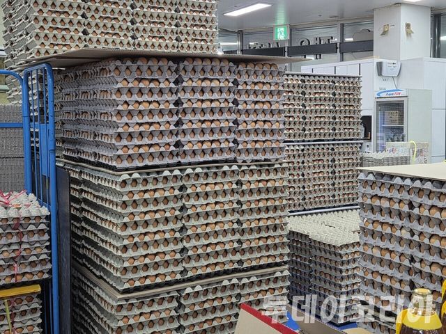 ▲ 서울의 한 마트에 계란이 쌓여있다. 사진=투데이코리아