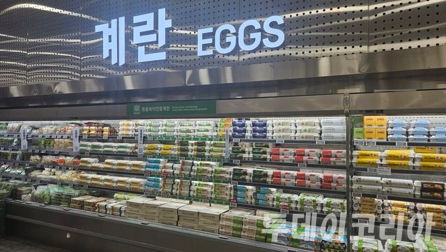 ▲ 14일 서울의 한 대형마트에서 계란이 진열돼있다. 사진=이기봉 기자