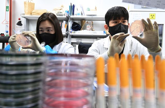 ▲ 19일 경기 수원시 권선구 경기도보건환경연구원에서 연구원들이 식중독균 배양분리작업을 하고 있다. 최근 이른 더위가 시작되면서 학교 급식 등 집단급식소 식중독 의심 신고는 총 110건으로 최근 3년 평균(84건)보다 31% 증가했다. 사진=뉴시스