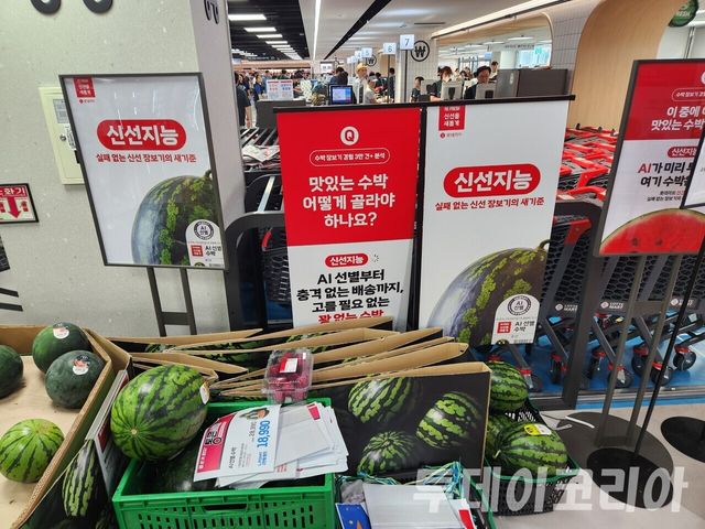 ▲ 롯데마트 그랑그로서리 구리점에 진열된 수박. 사진=투데이코리아