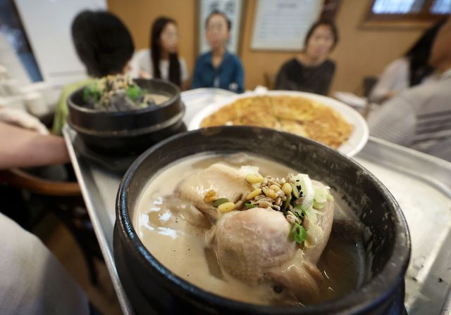 ▲ 서울 종로구 한 삼계탕 전문점에서 직원이 삼계탕을 나르고 있다. 사진=뉴시스