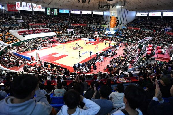 프로농구 만원 관중 모습. 사진┃KBL