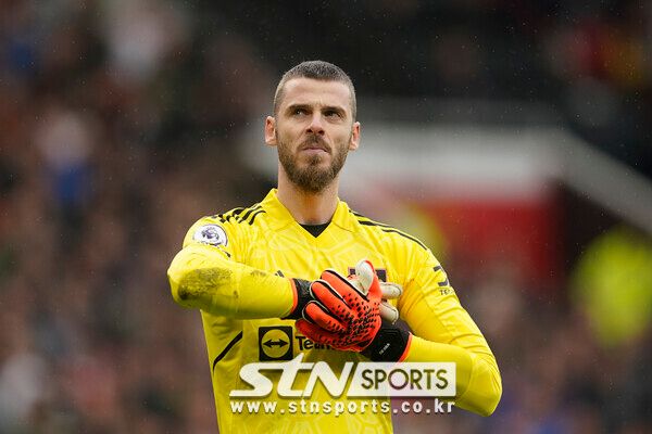 맨체스터 유나이티드 골키퍼 다비드 데 헤아. 사진┃뉴시스/AP