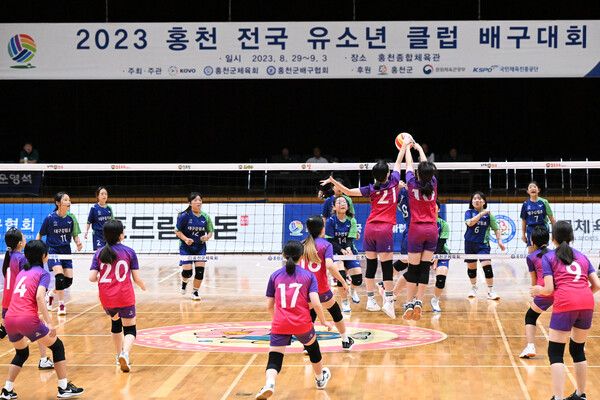 2023 홍천 전국 유소년 클럽 배구대회 경기 사진. 사진┃KOVO