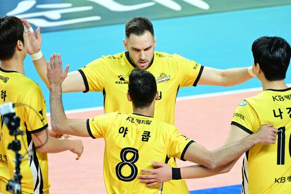 KB손해보험 선수단이 26일 장충체육관에서 치러진 우리카드와의 도드람 2024-2025 V리그 4라운드 경기에서 득점 후 기뻐하고 있다. 사진┃KOVO