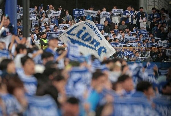 삼성은 14일 오후 6시 30분 대구 삼성라이온즈파크에서 열린 SSG 랜더스와 2025 신한 SOL 뱅크 KBO 포스트시즌(PS) 준플레이오프(준PO·5전 3선승제) 4차전을 5-2로 승리했다. 삼성 응원단 모습. /사진=삼성 라이온즈