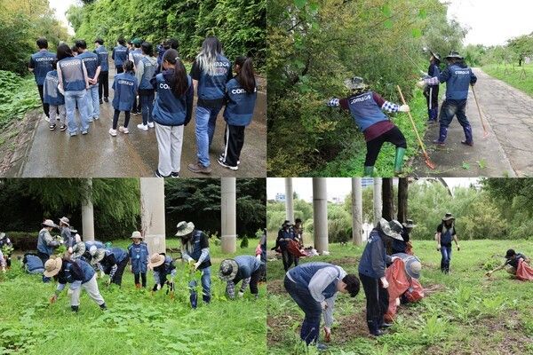 24일 컴투스와 컴투스홀딩스(의장 송병준)가 도심 속 자연 생태계 보전을 위한 ‘선유도공원 생태 교란종 제거’ 봉사활동을 진행했다고 밝혔다.(▲컴투스 선유도 공원 생태 교란종 제거 봉사활동 현장). /사진=컴투스