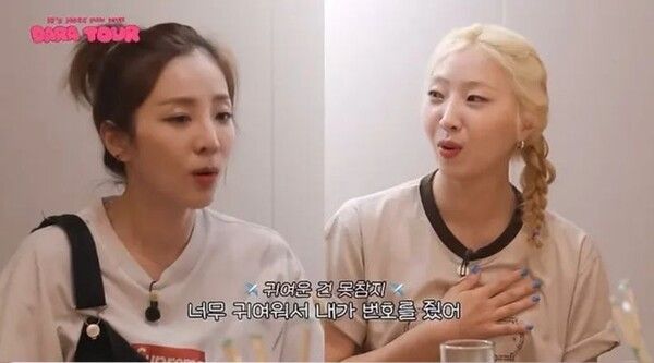 사진┃유튜브 채널 'DARA TV'