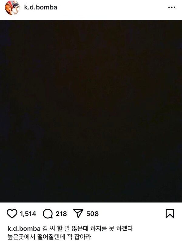 사진┃故설리 친오빠 SNS