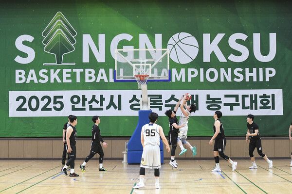 지난 D3 안산 상록수배 경기 모습. 사진┃대한민국농구협회