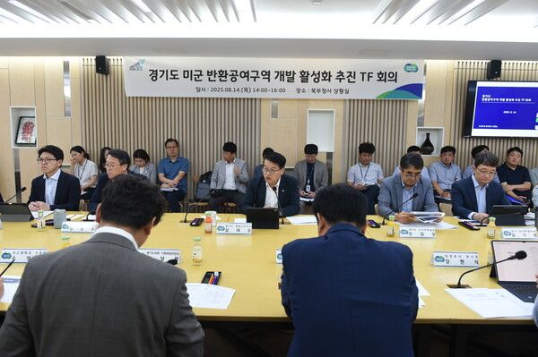 경기도 미군 반환공여구역 개발 활성화 추진 TF 회의. / 사진=경기도청
