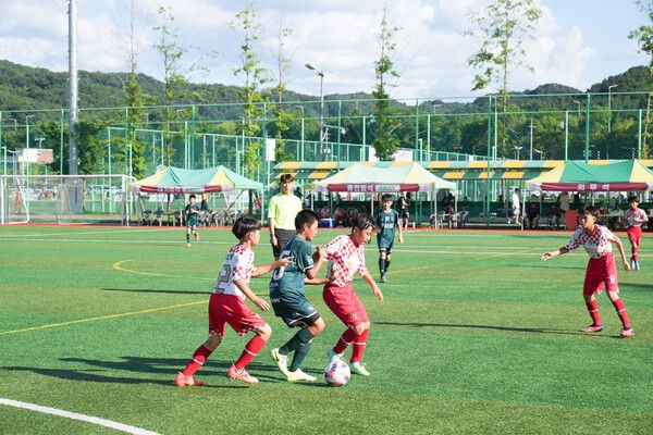 지난달&nbsp;21일부터 27일까지 7일간 대전 중구 안영생활체육시설단지 내 축구장에서 열린 ‘2025 일류 경제도시 대전! 대전 유소년 축구 페스티벌’ 모습. /사진=대전시축구협회