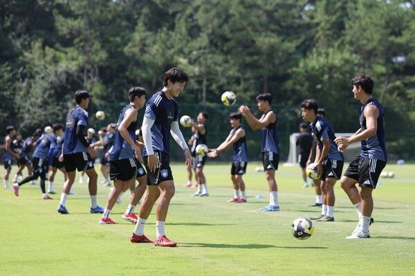 국내 프로 축구단 최초로 난지형 잔디가 도입된 울산의 강동 축구장. /사진=울산HD