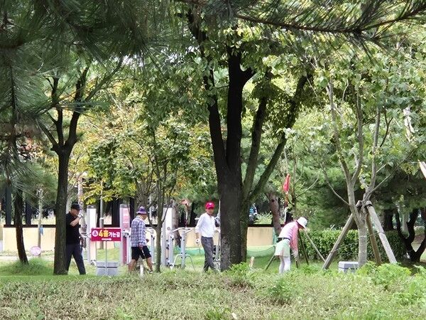 중년층으로부터 사랑받으며 파크골프가 전국적으로 보급이 되어 많은 지원을 받고있다. 각지자체 공원에 파크골프장을 설치하여 무료로 이용하며 국민건강증진에 많은 도움을 주고있다. 노년층의 생활체육으로 자리매김해나가고 있다