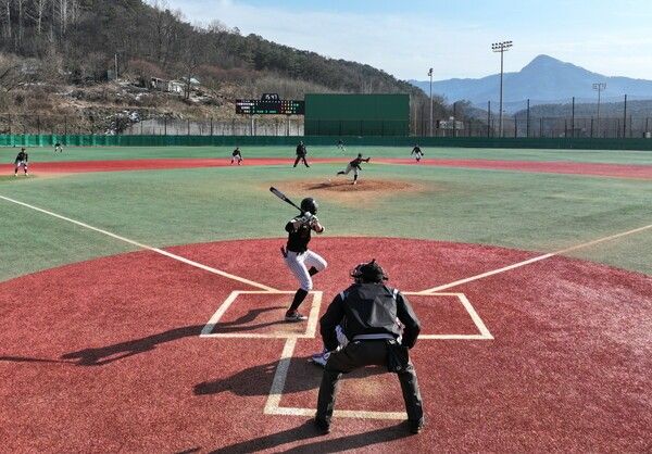 제11회 순창배 전국 유소년 야구대회/사진=순창군 제공